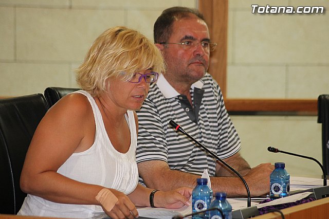 Pleno ordinario julio 2014 - 26