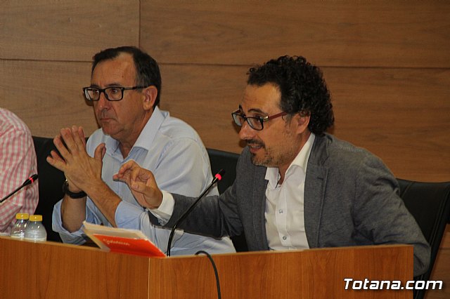 Pleno ordinario julio 2019 - 9