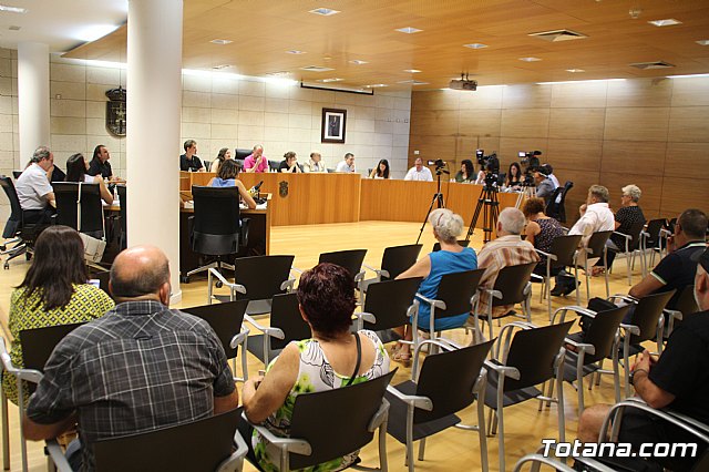 Pleno ordinario julio 2019 - 15