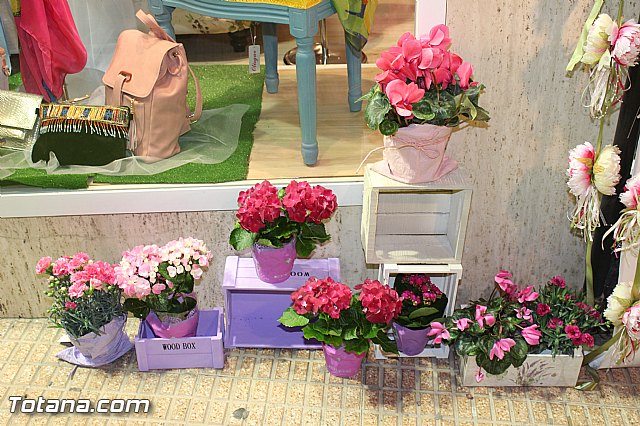 Desfile Floreal - Abril 2016 - 3