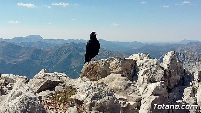Ruta senderista a a Asturias - Club Senderista Totana - Agosto 2016.  - 74