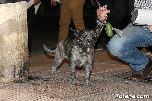 Pegada de carteles Elecciones 26M - 193