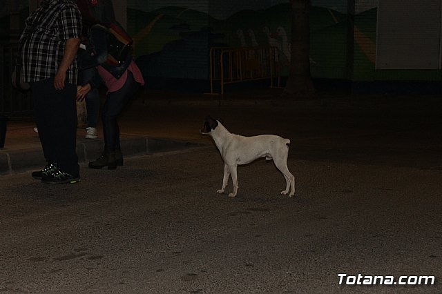 Pegada de carteles Elecciones 26M - 196