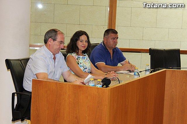 Pleno extraordinario  03/07/2015 - 5