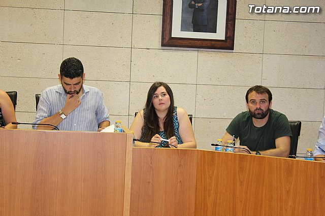 Pleno extraordinario  03/07/2015 - 6