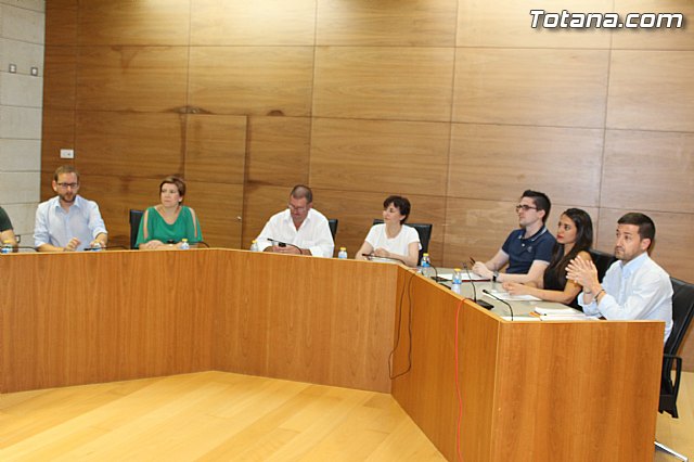 Pleno extraordinario  03/07/2015 - 8