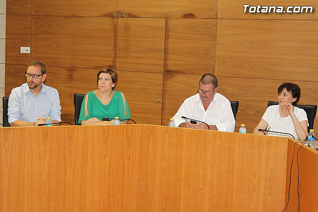 Pleno extraordinario  03/07/2015 - 9