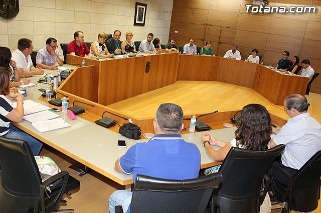 Pleno extraordinario  03/07/2015 - 11