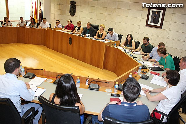 Pleno extraordinario  03/07/2015 - 19