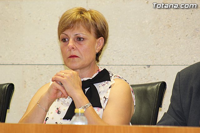 Pleno extraordinario  03/07/2015 - 23