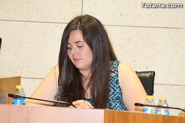 Pleno extraordinario  03/07/2015 - 25