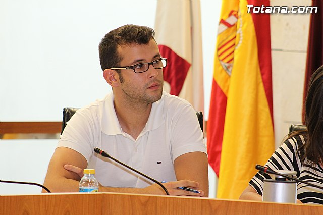 Pleno extraordinario  03/07/2015 - 29