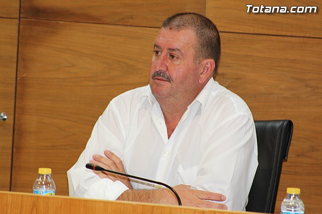 Pleno extraordinario  03/07/2015 - 36