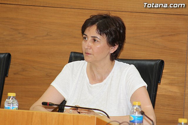 Pleno extraordinario  03/07/2015 - 37