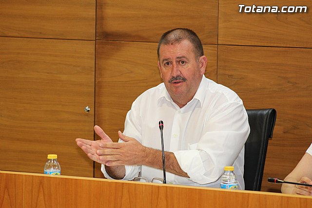 Pleno extraordinario  03/07/2015 - 40