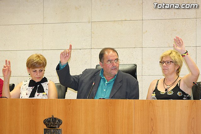 Pleno extraordinario  03/07/2015 - 44