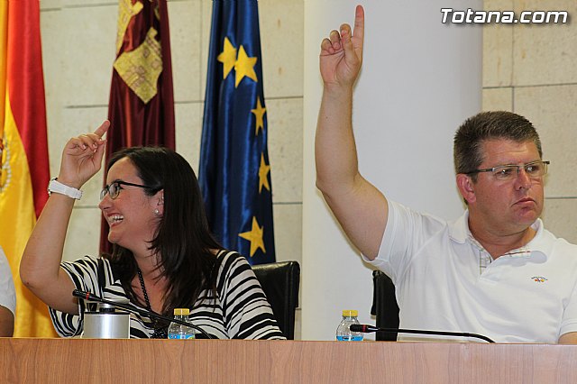 Pleno extraordinario  03/07/2015 - 49