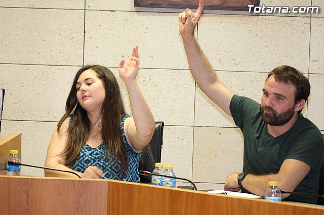 Pleno extraordinario  03/07/2015 - 50