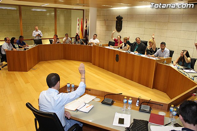 Pleno extraordinario  03/07/2015 - 53