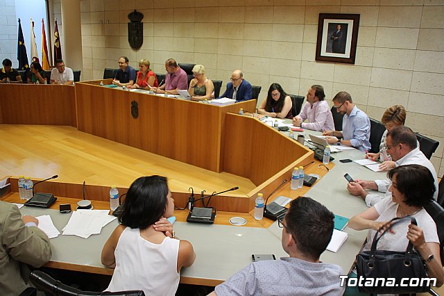 Pleno extraordinario PGOM (08/06/2017) - 2