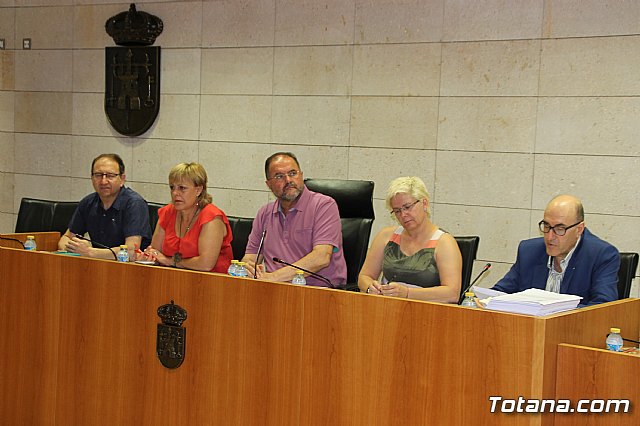 Pleno extraordinario PGOM (08/06/2017) - 4