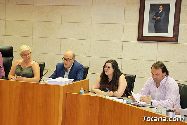 Pleno extraordinario PGOM (08/06/2017) - 5