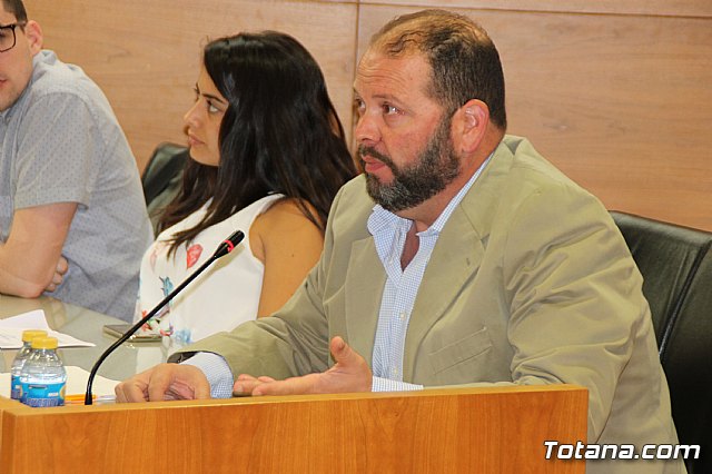 Pleno extraordinario PGOM (08/06/2017) - 11