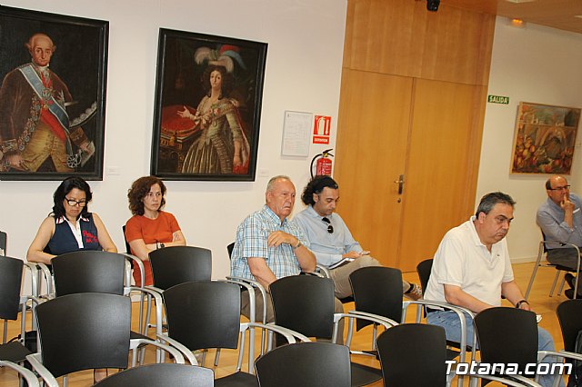 Pleno extraordinario PGOM (08/06/2017) - 14