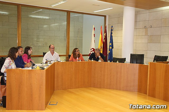 Pleno extraordinario 11/09/2019 - 2