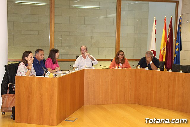 Pleno extraordinario 11/09/2019 - 3