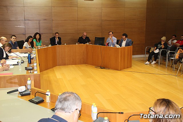 Pleno extraordinario 11/09/2019 - 6