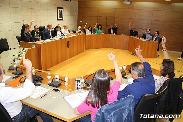 Pleno extraordinario 11/09/2019 - 16