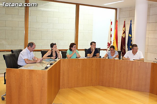 Pleno extraordinario Fondo Ordenacin - 13/08/2015 - 5