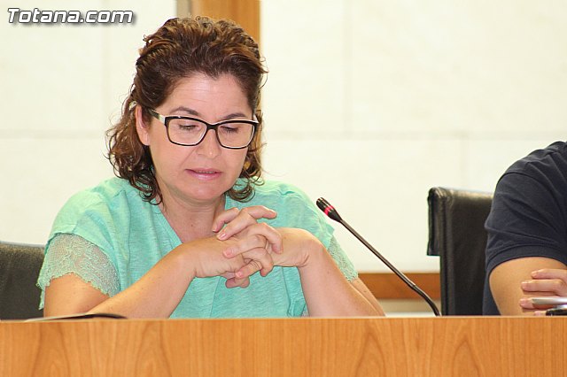 Pleno extraordinario Fondo Ordenacin - 13/08/2015 - 15