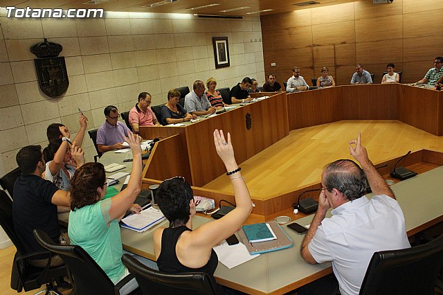 Pleno extraordinario Fondo Ordenacin - 13/08/2015 - 20