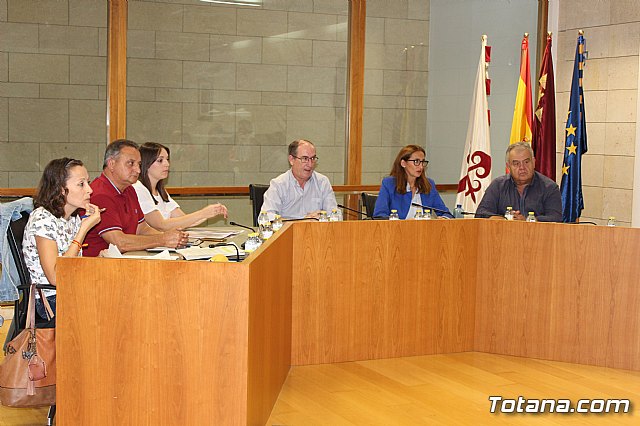 Pleno extraordinario - Mesas electorales y hacienda - 14