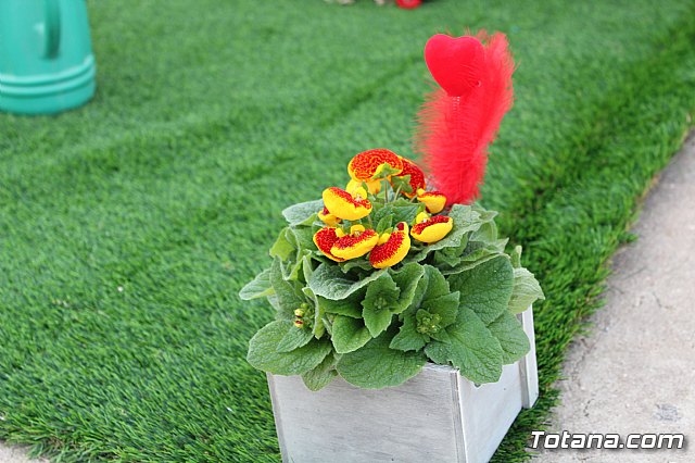 II Concurso de escaparates y locales de Carnaval 2018 - 4