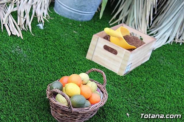 II Concurso de escaparates y locales de Carnaval 2018 - 9