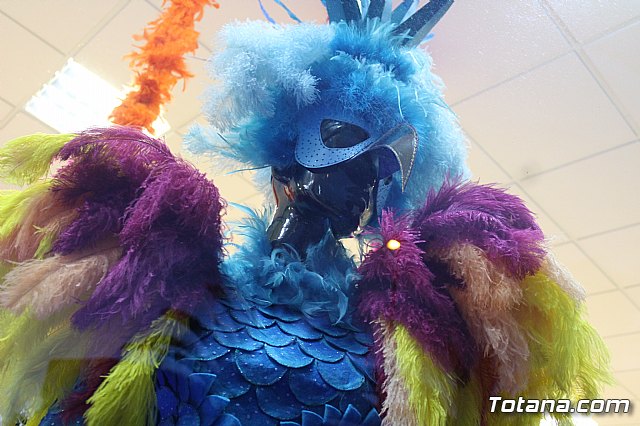 II Concurso de escaparates y locales de Carnaval 2018 - 111