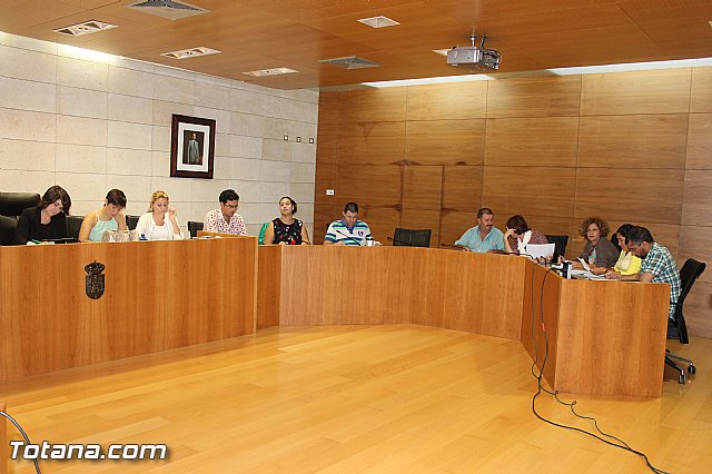 Pleno extraordinario Hacienda - 3