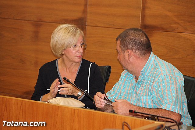 Pleno extraordinario Hacienda - 12