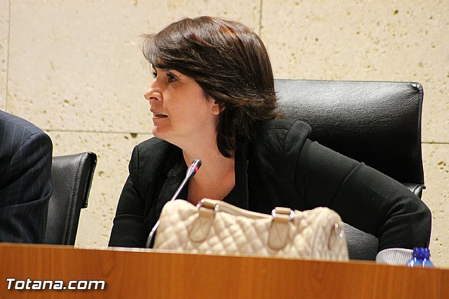 Pleno extraordinario Hacienda - 14