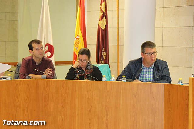 Pleno extraordinario 10/11/2016 - 13