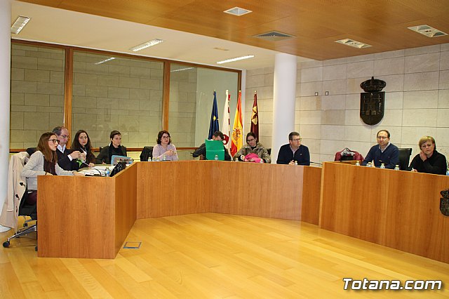 Pleno extraordinario 13/02/2017 - 2