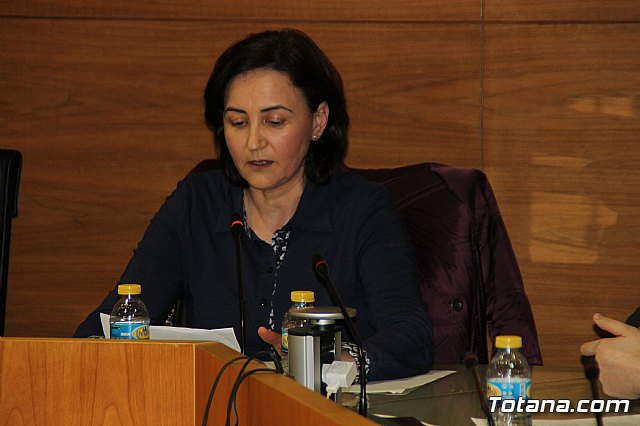 Pleno extraordinario 13/02/2017 - 23