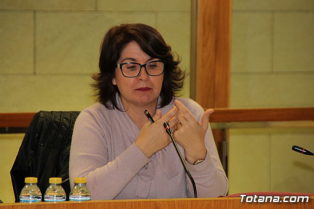 Pleno extraordinario 13/02/2017 - 24