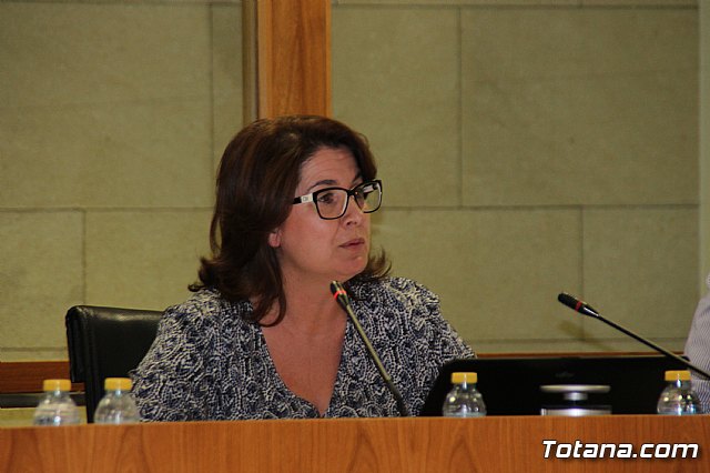 Pleno extraordinario. Presupuesto general municipal para el ejercicio 2017 - 13