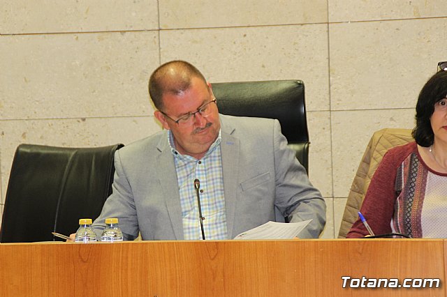 Pleno extraordinario AVE (11/05/2018) - 3