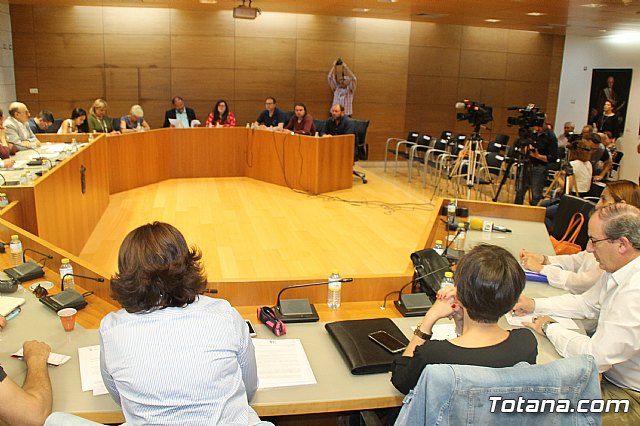 Pleno extraordinario AVE (11/05/2018) - 16