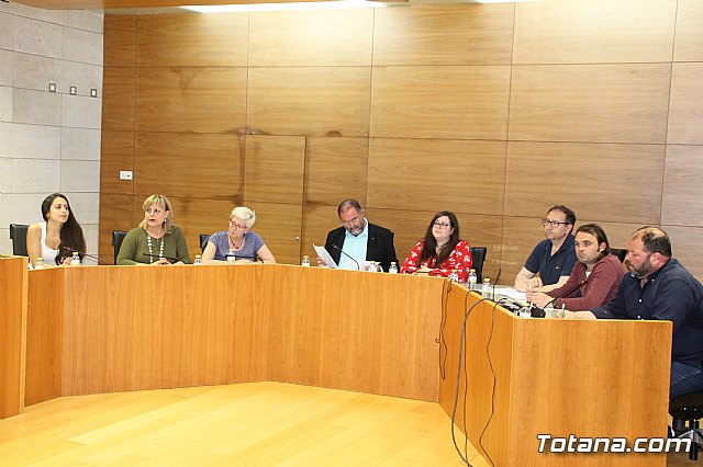 Pleno extraordinario AVE (11/05/2018) - 17